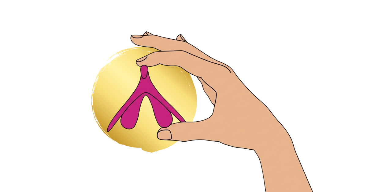 Illustration representing clitoral anatomy and sexual health education