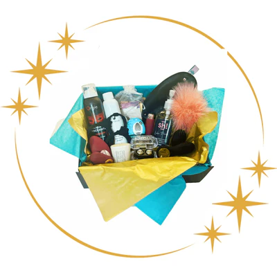 light my fire pleasure bundle ultimate homework kit from Sh! Women's Store